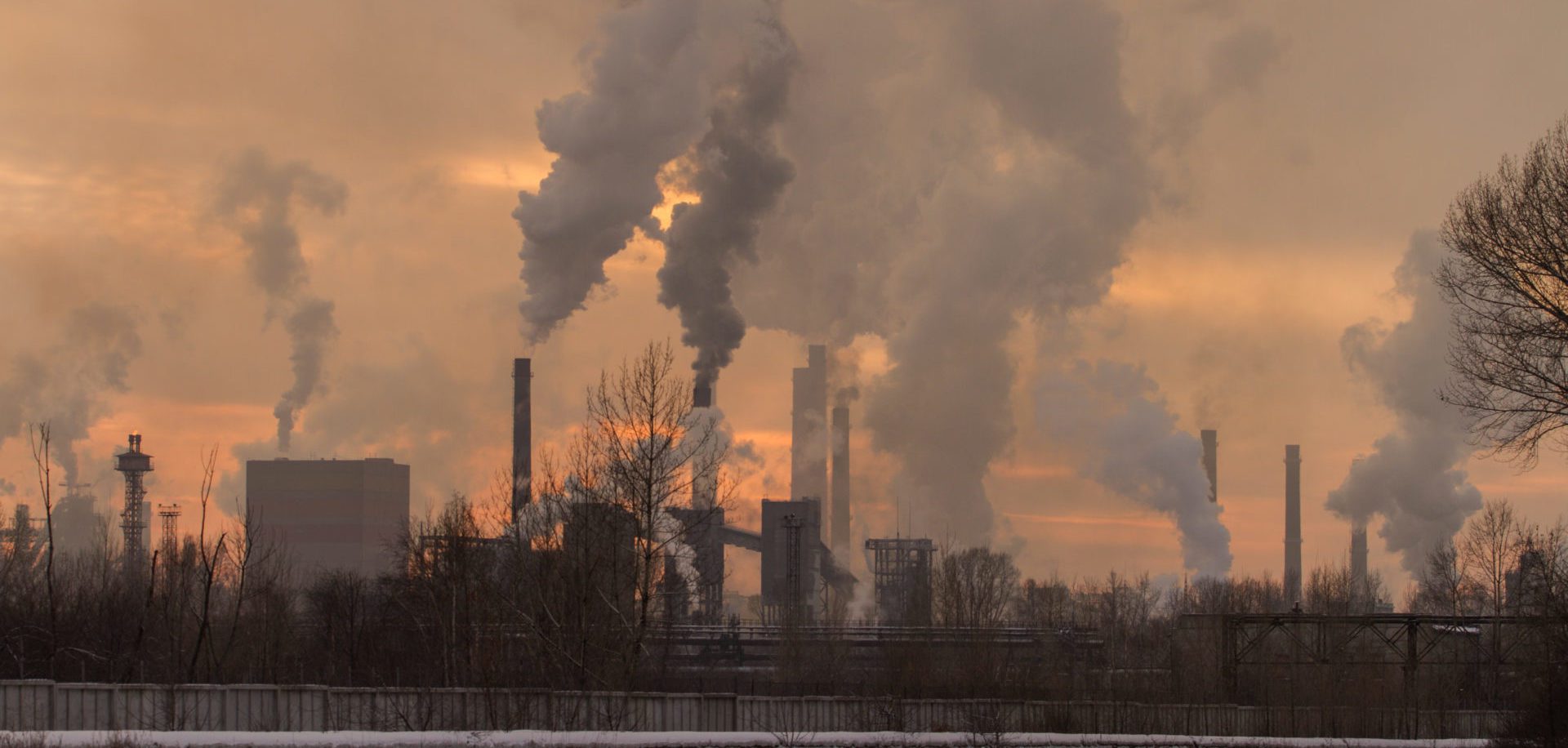 Cambio climático y oxigenación del capital en mercados de carbono