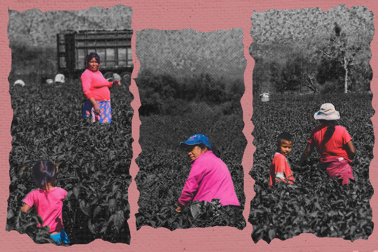 Feminismo para descolonizar la economía